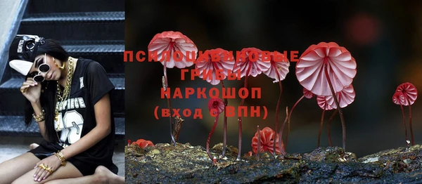 первитин Володарск